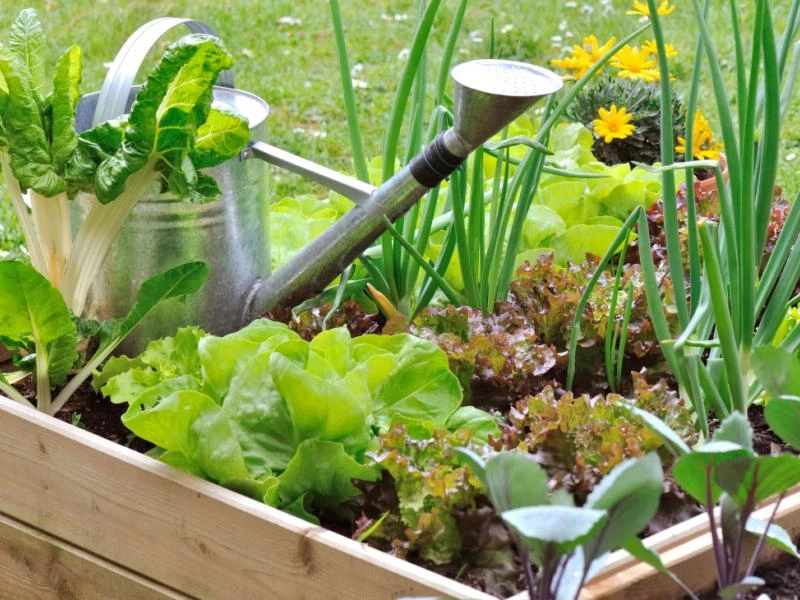 Découverte autour du jardin