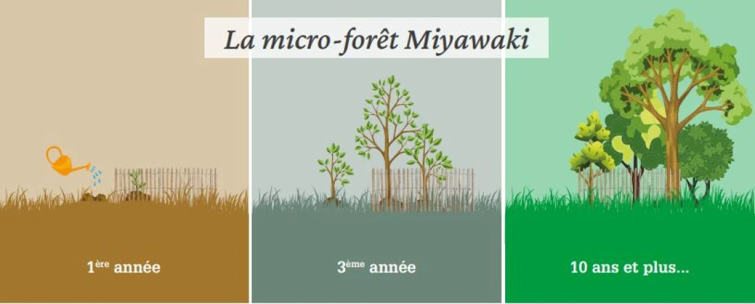 La micro-for&ecirc;ts in the city