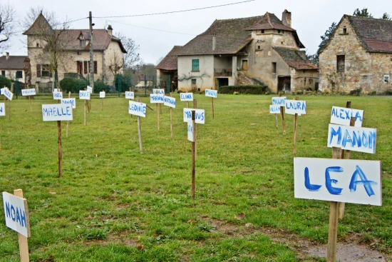 Le double-enjeu des arboretums