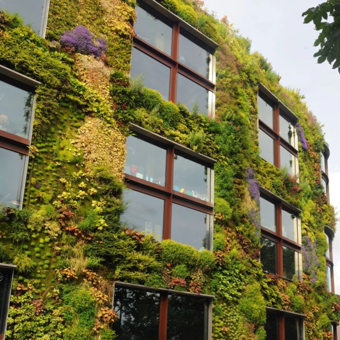 La végétalisation des bâtiments pour combiner l’esthétique et le respect de l’environnement