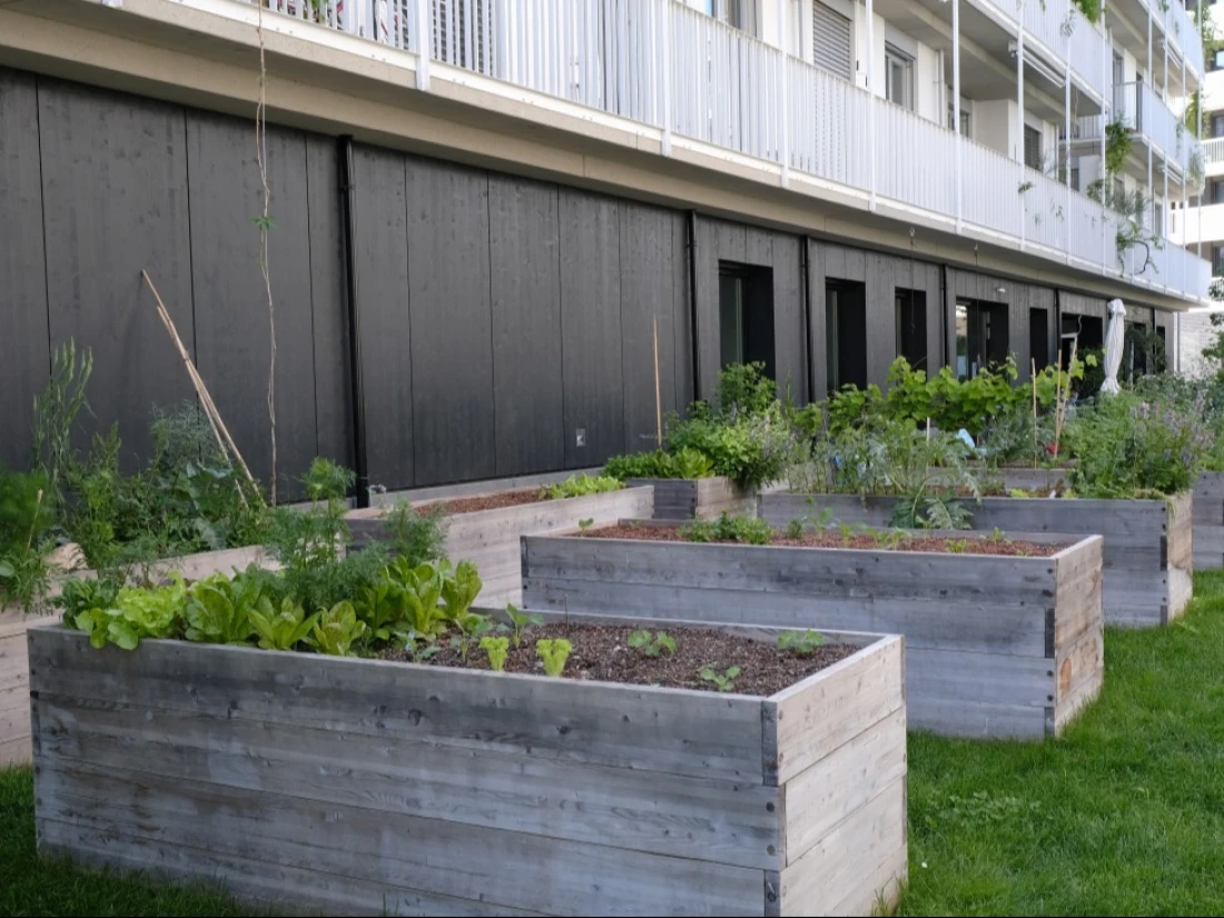 Création d'espaces verts