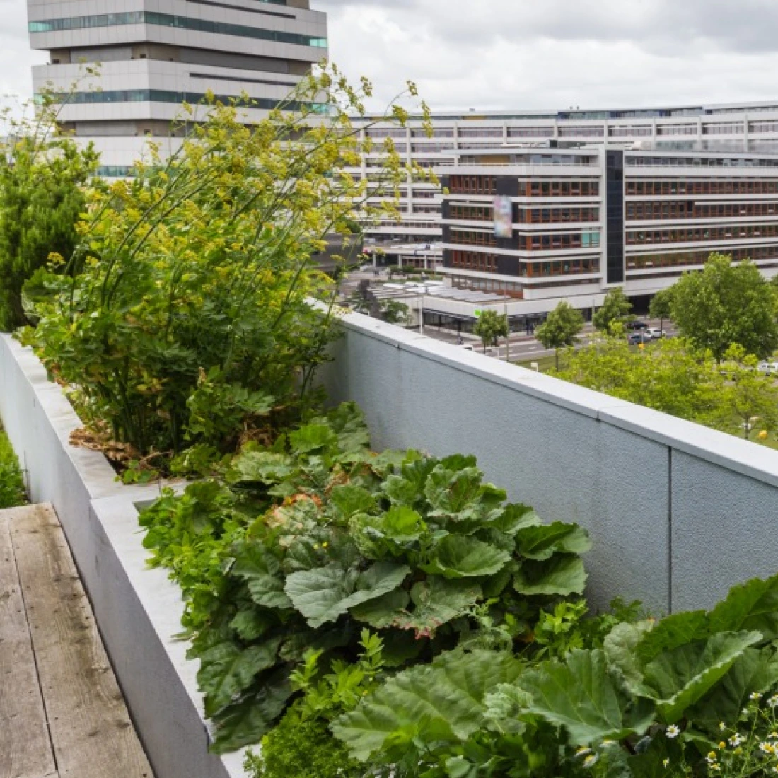 La renaturation des sols et des espaces urbains