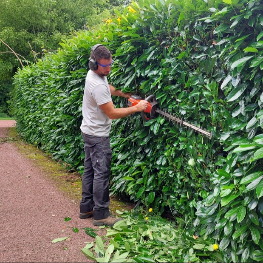 Tailler, débroussailler et protéger sa maison des feux de forêt
