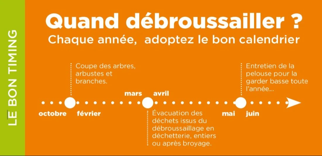 Quand d&eacute;broussailler