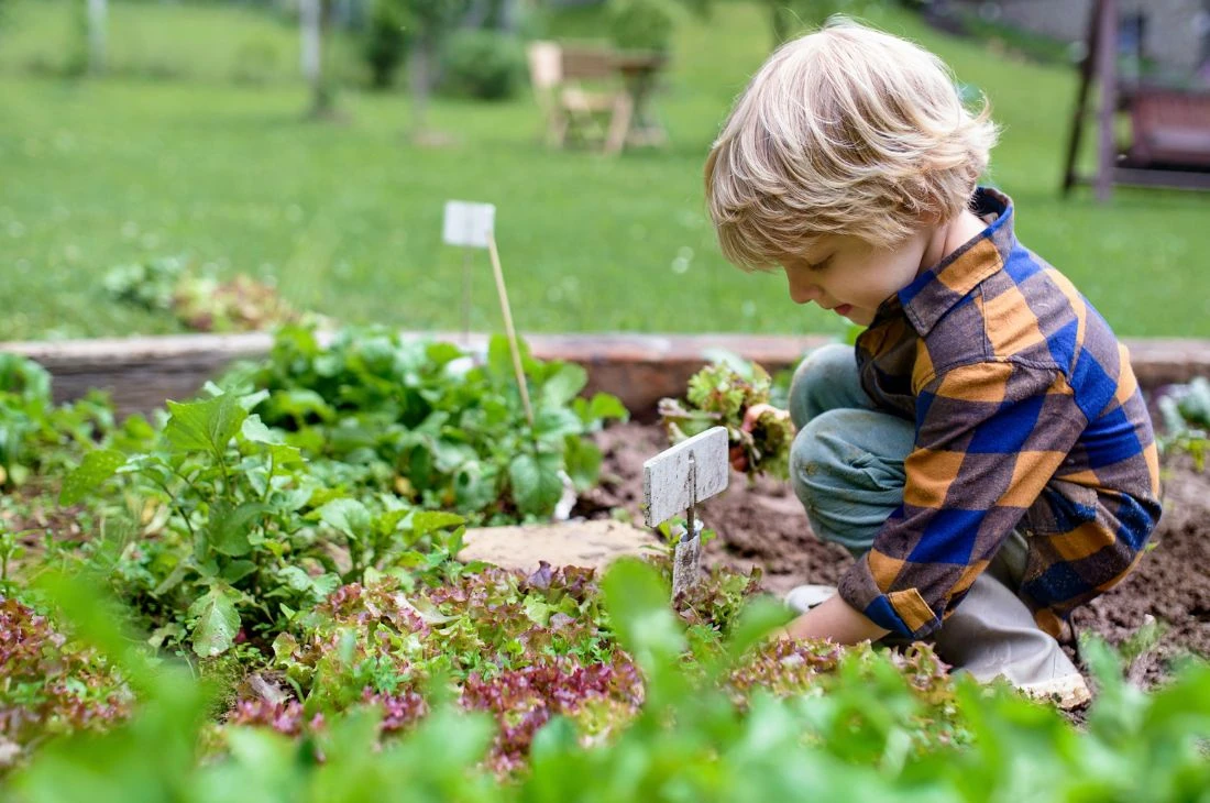 Daniel Moquet Jardin Potager