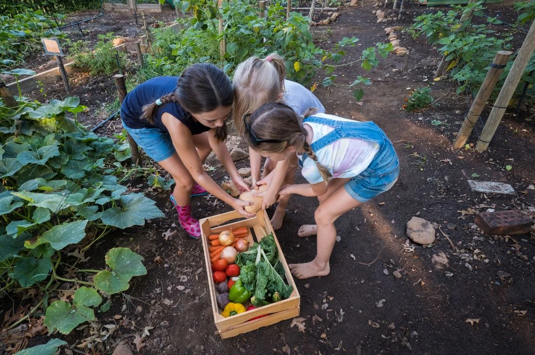 Potager Daniel Moquet