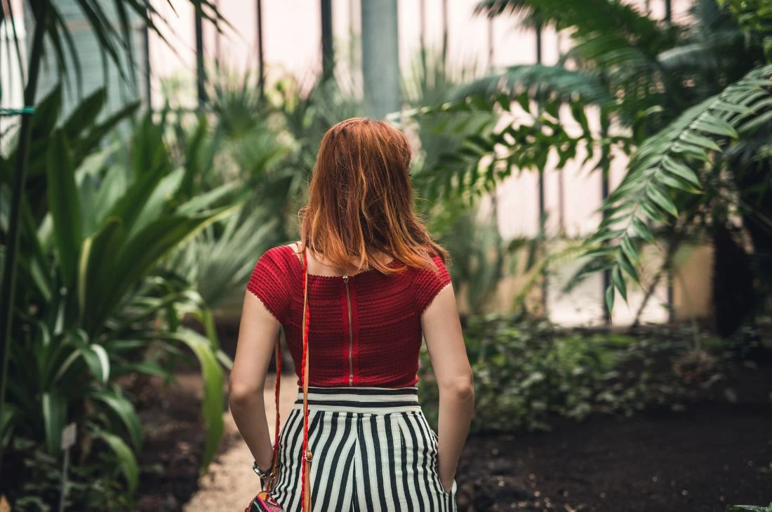 Daniel-Moquet jardin fleur 