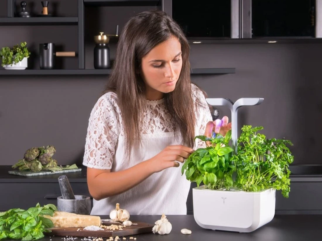 Daniel-Moquet jardin potager fleur serre intelligente 