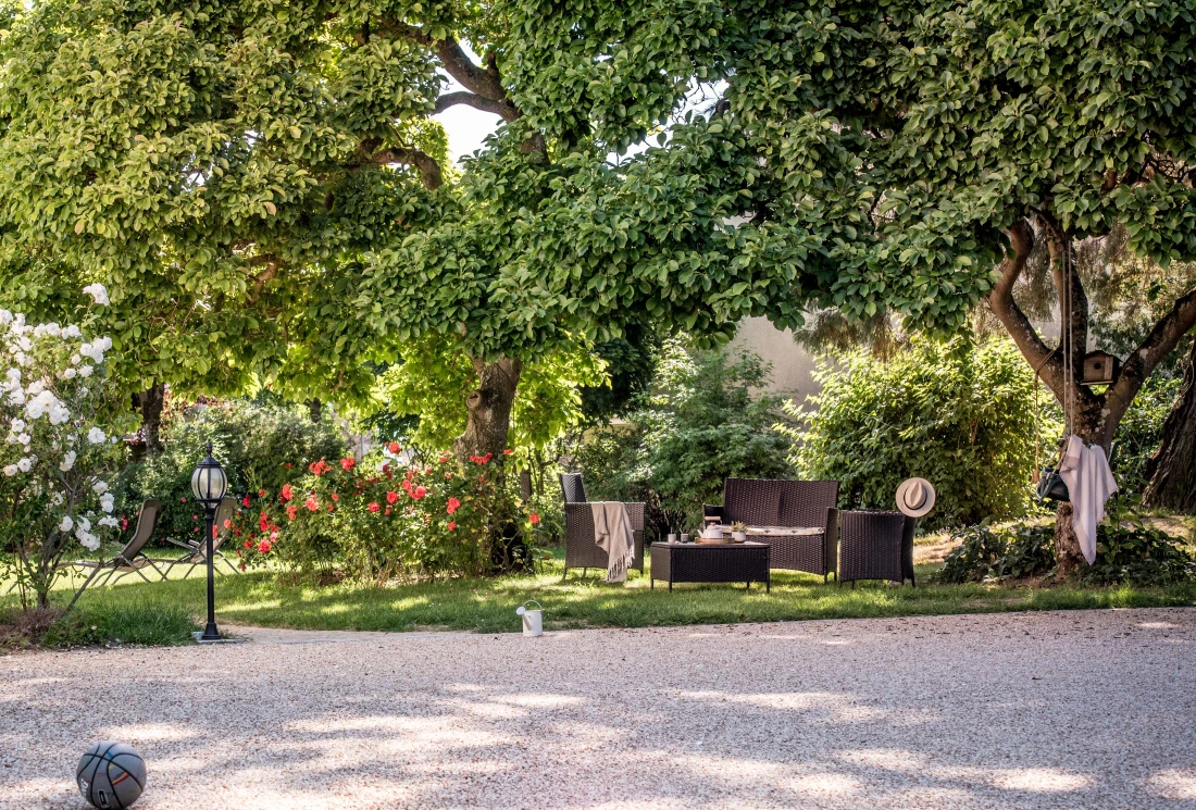 Daniel-Moquet jardin arbre