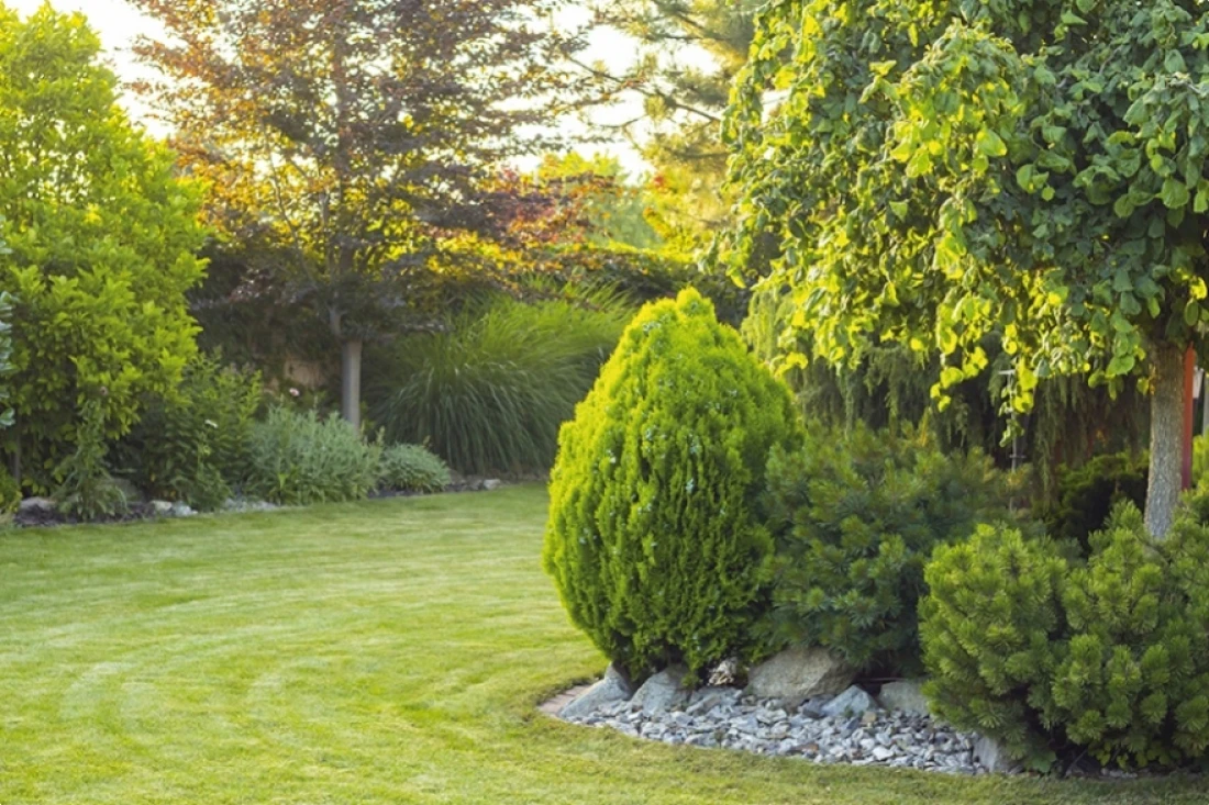 Daniel-Moquet jardin arbres