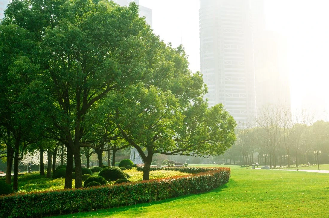 Daniel-moquet jardin v&eacute;g&eacute;talisation 