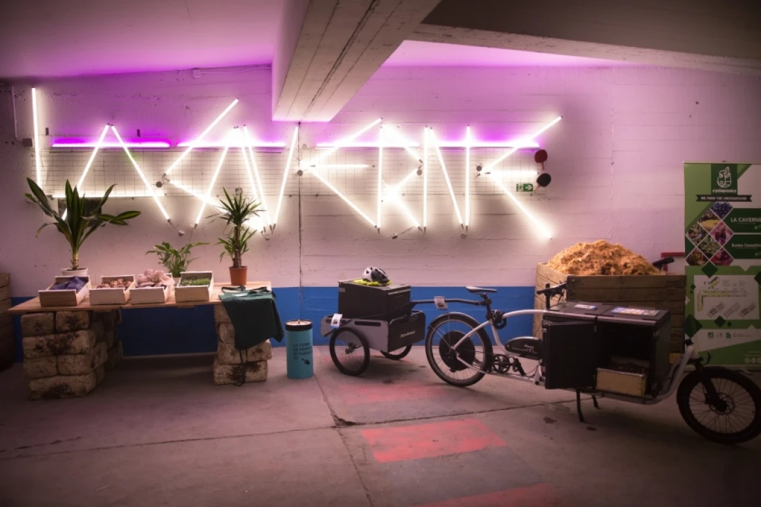 Daniel-Moquet jardin v&eacute;g&eacute;talisation