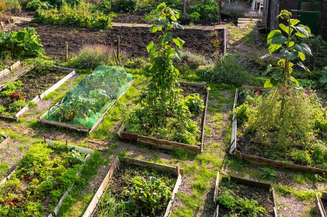 Jardin ouvrier Daniel Moquet Histoire