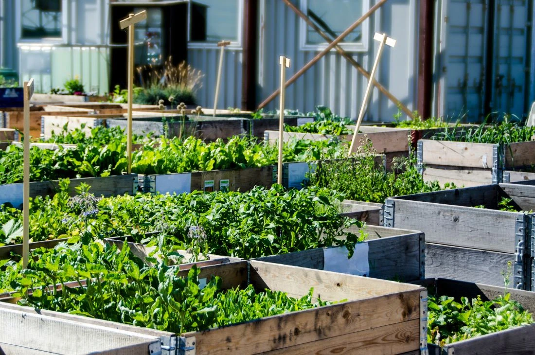 Daniel Moquet jardin familiaux ouvriers