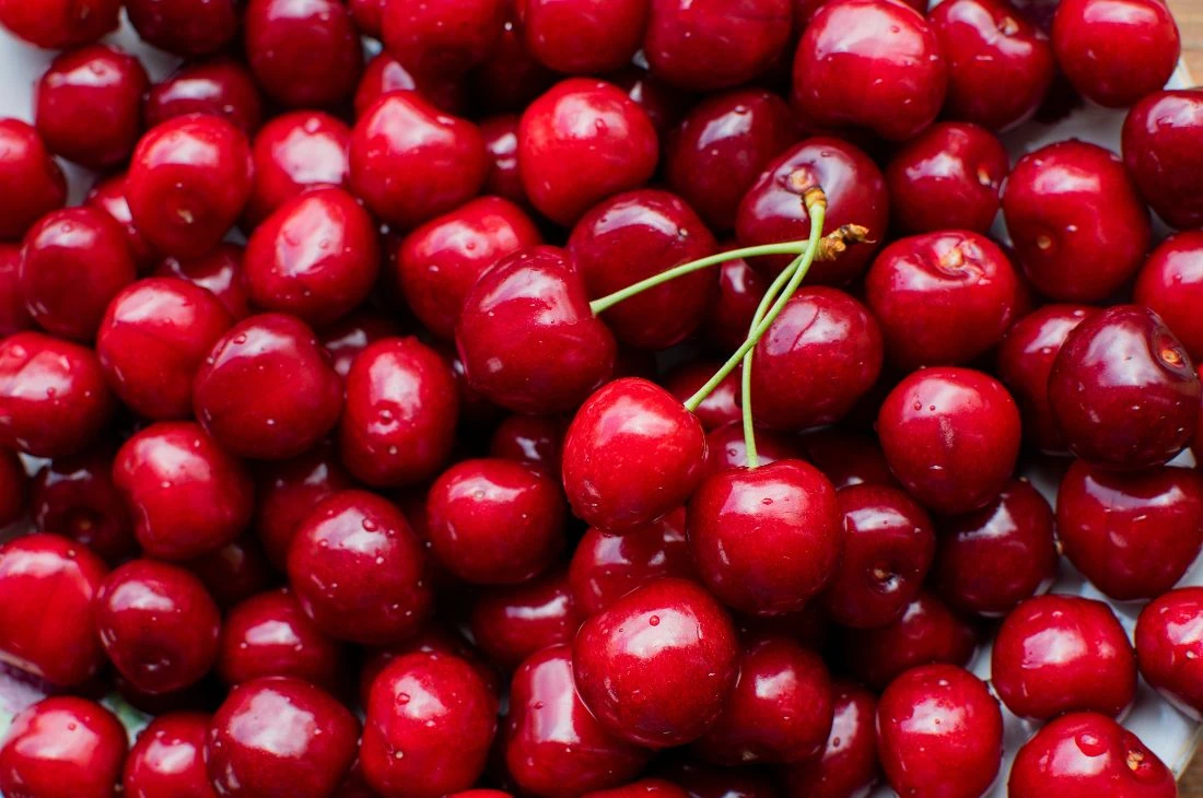 Potager Jardin Daniel Moquet