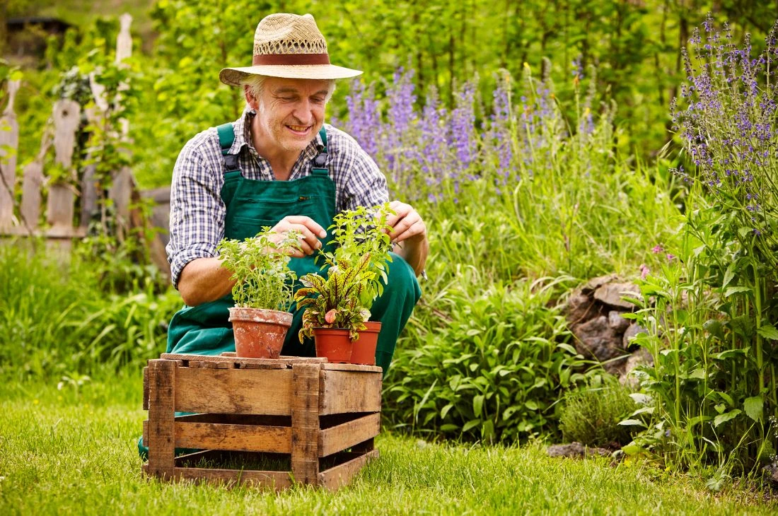 Daniel moquet jardin jardinage santé