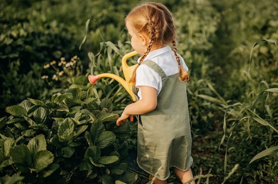 Daniel Moquet robinet plantes