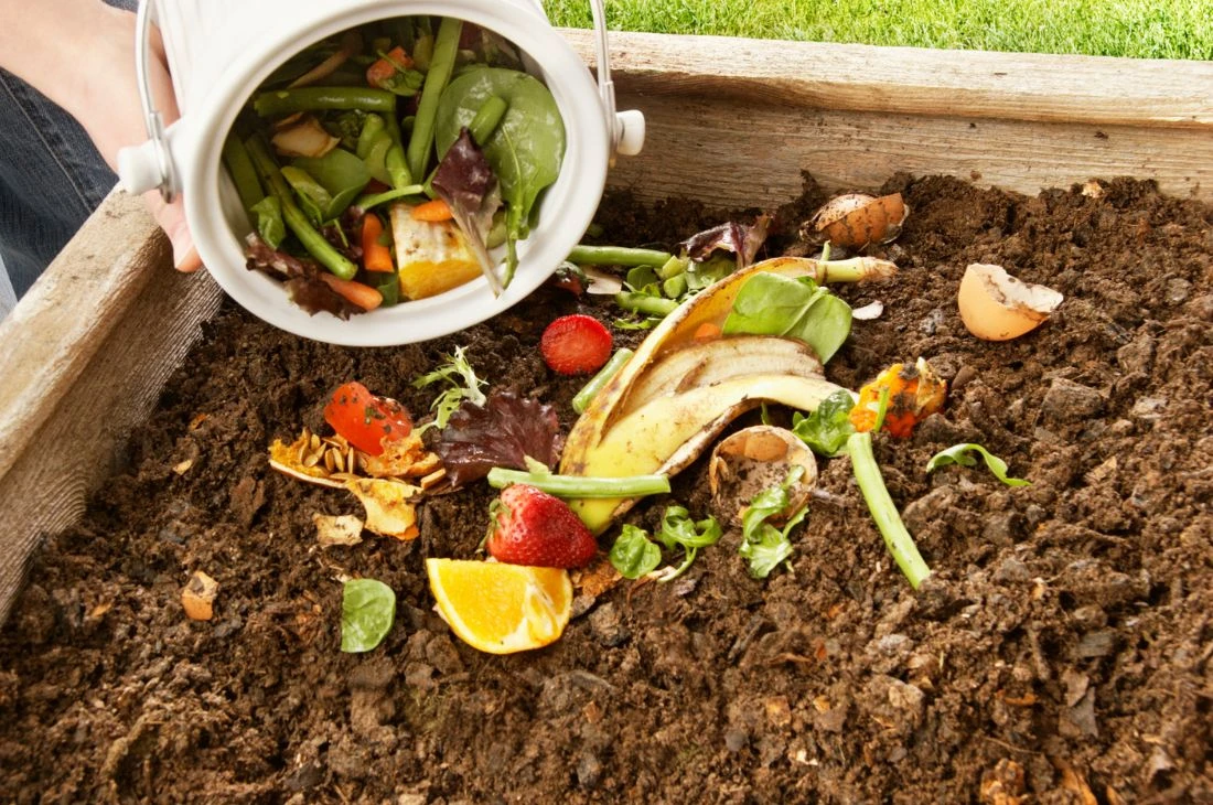 Daniel Moquet jardin composte 