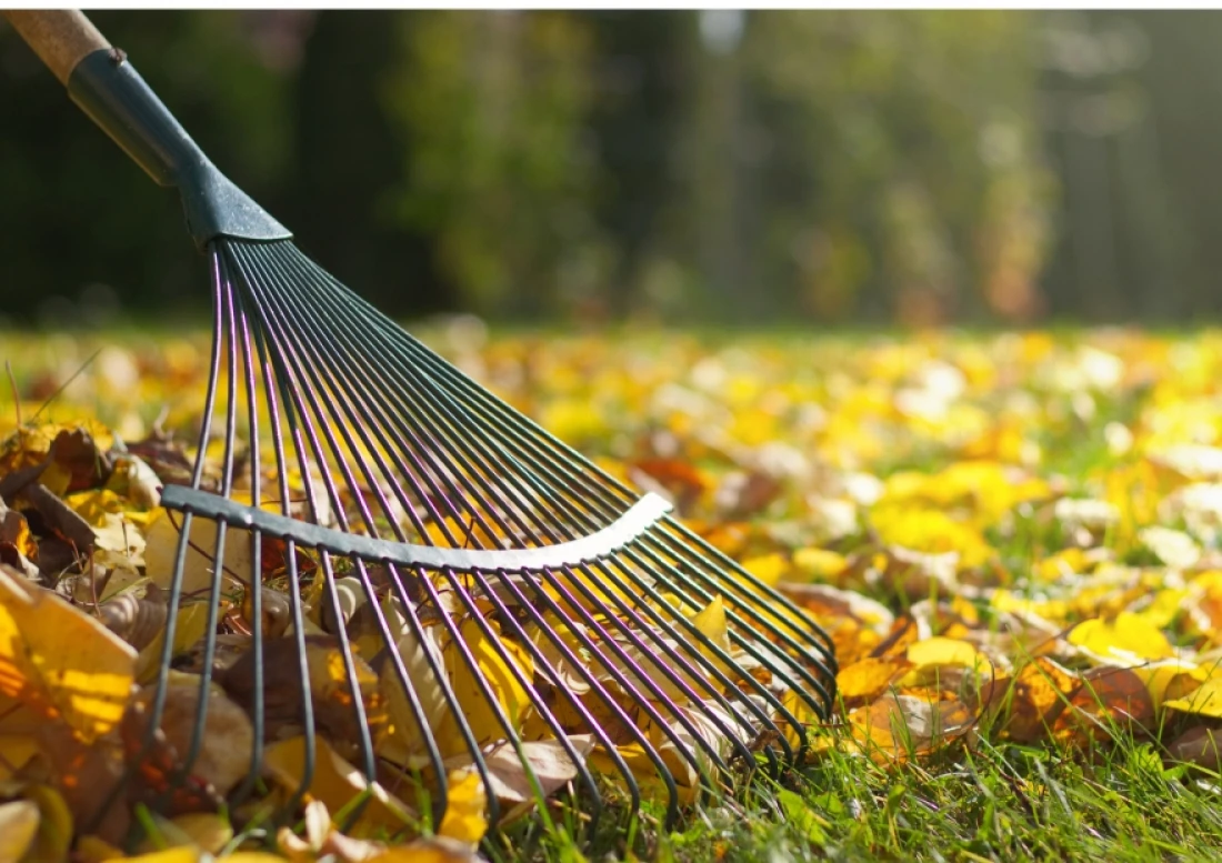 Daniel Moquet jardin automne