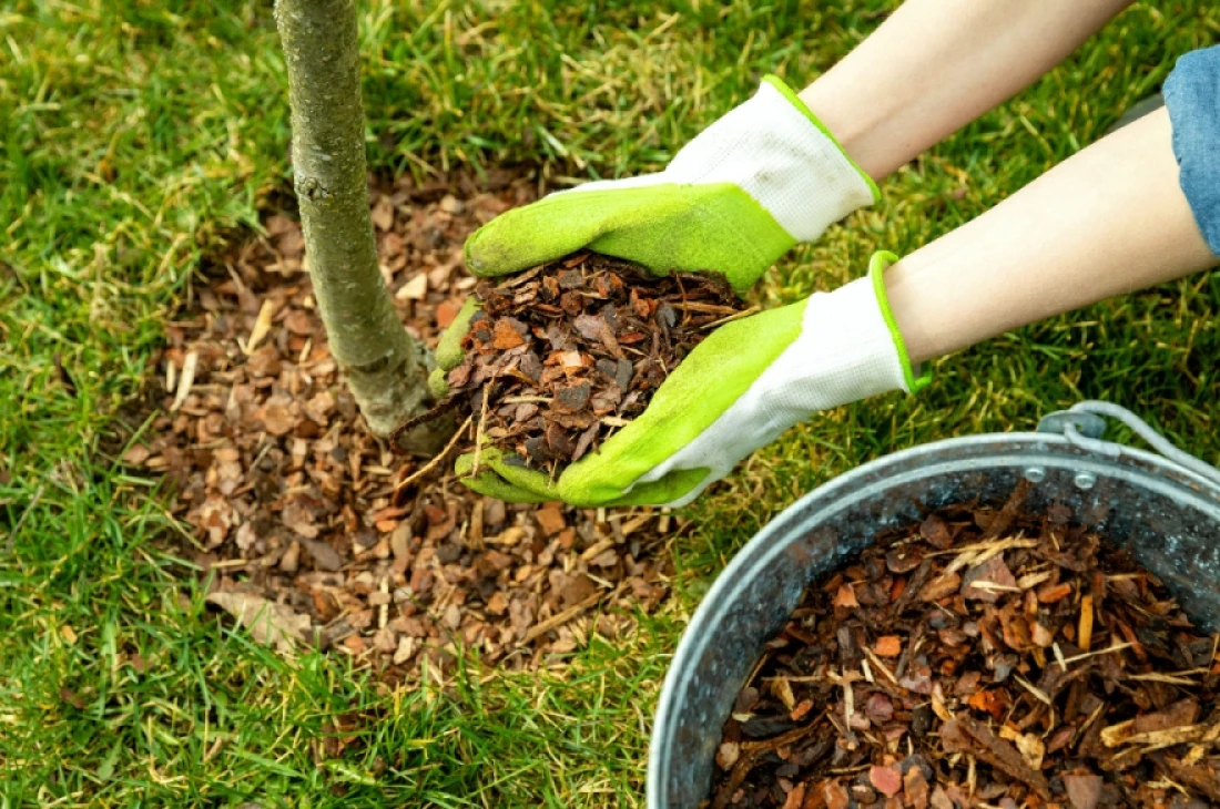 Daniel M&ocirc;quet jardin v&eacute;g&eacute;taux 