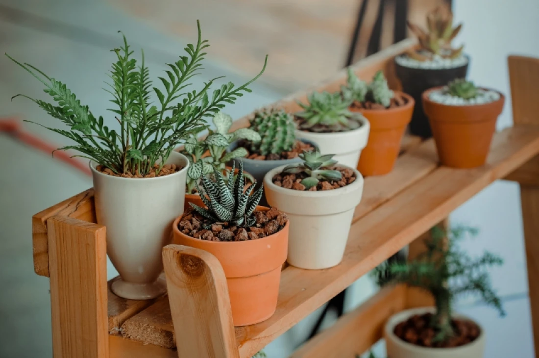 Daniel Moquet jardin v&eacute;g&eacute;taux 