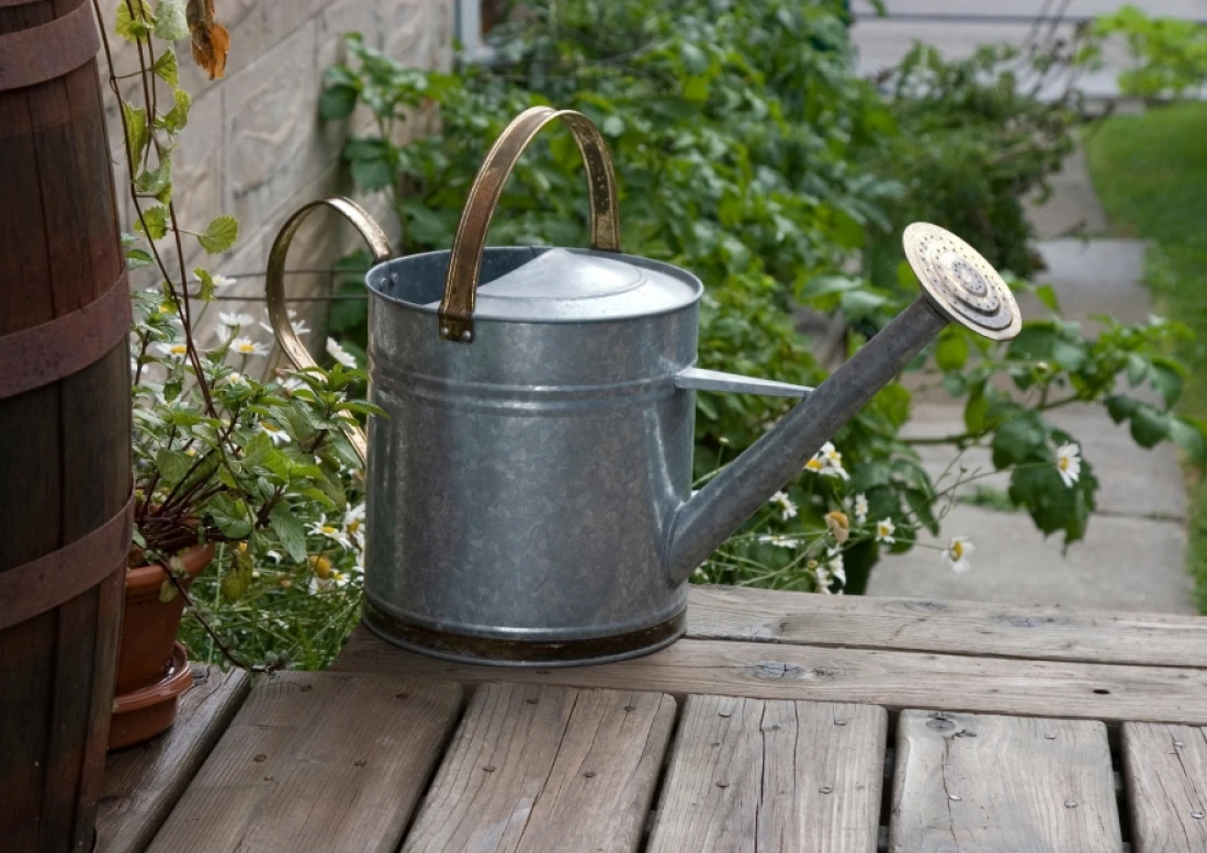 Daniel Moquet jardin potager plantes 