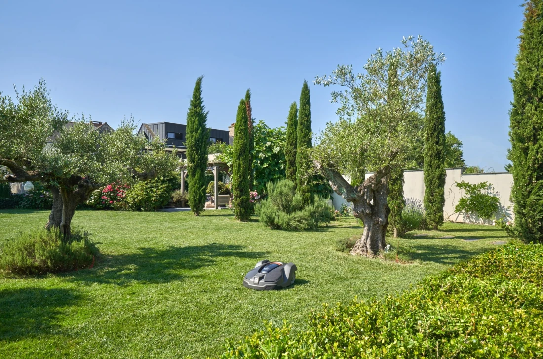 Daniel Moquet Jardin plantation