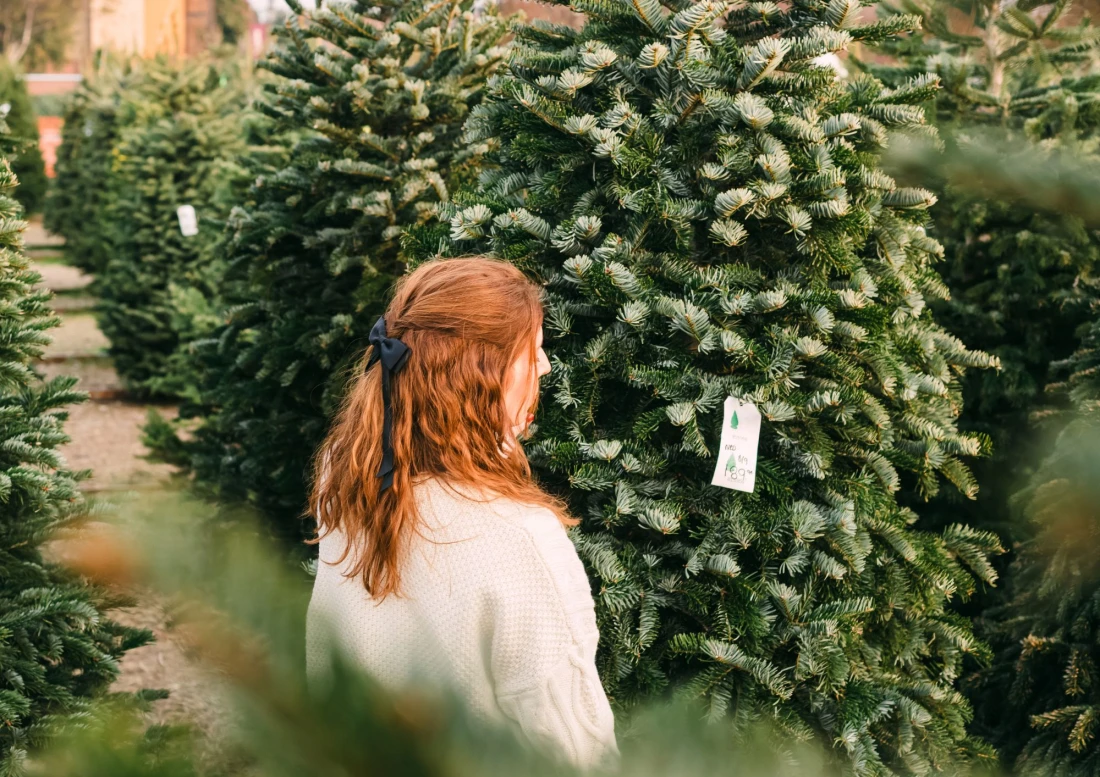 Jardin Noel Daniel Moquet