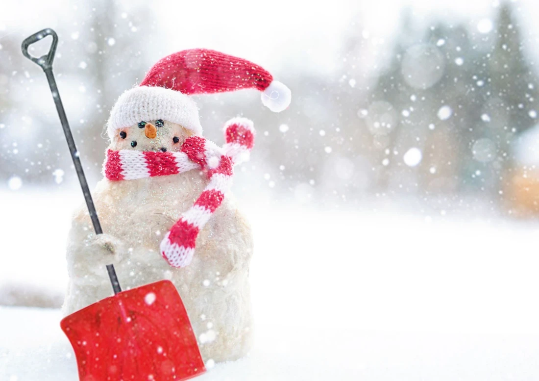 Jardin Noel Daniel Moquet