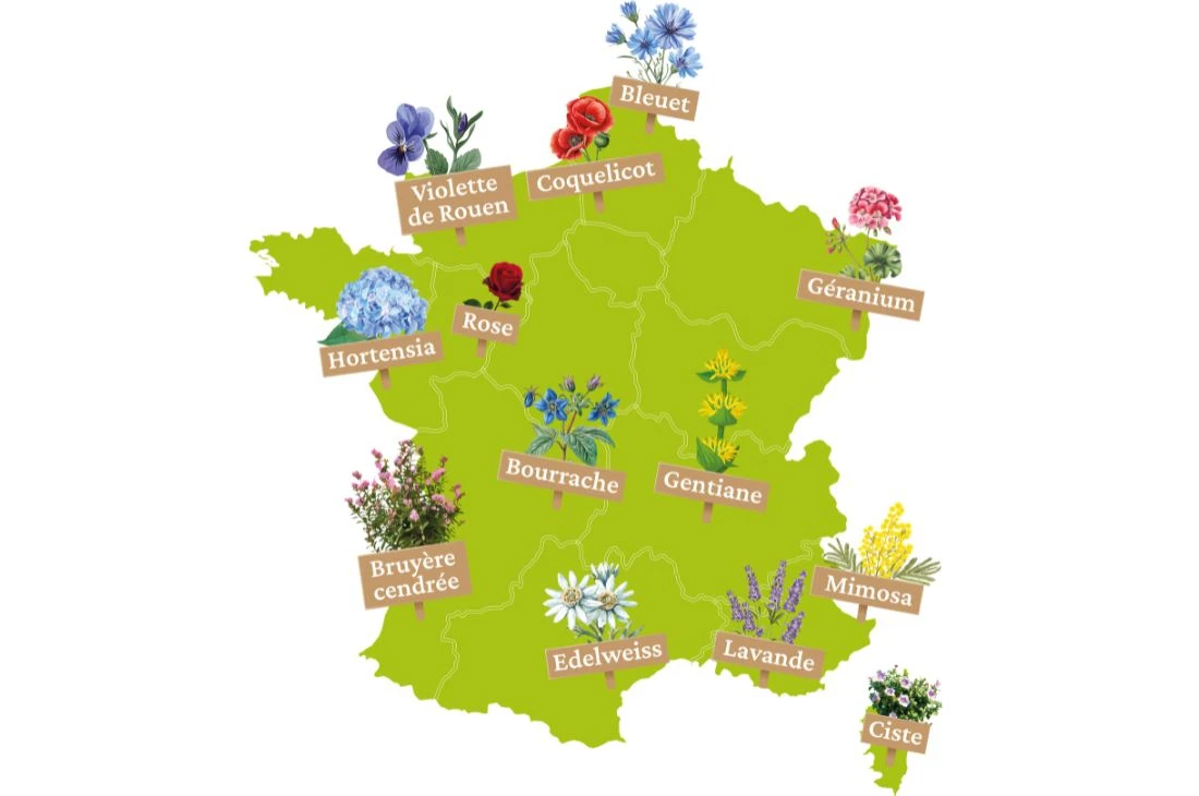 carte de france 