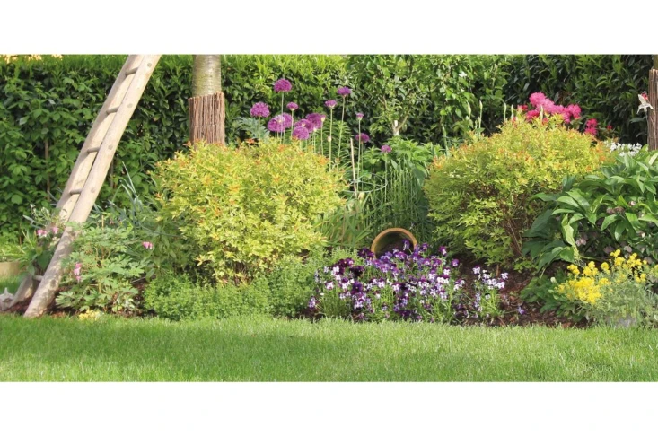 potager