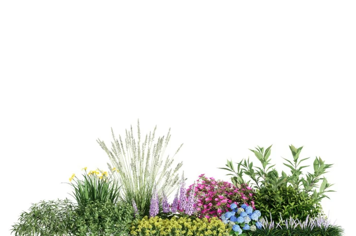 fleurs