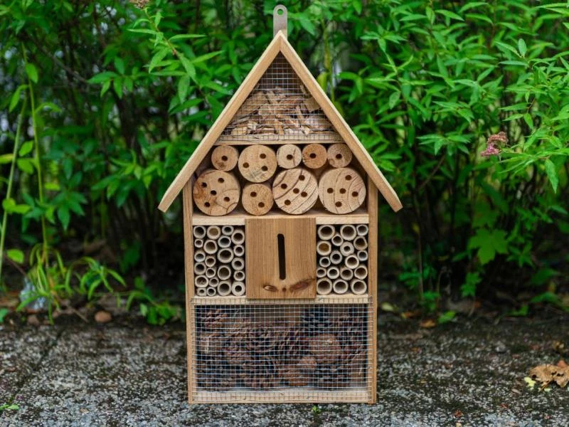 Fabriquez un hôtel à insectes avec vos enfants !