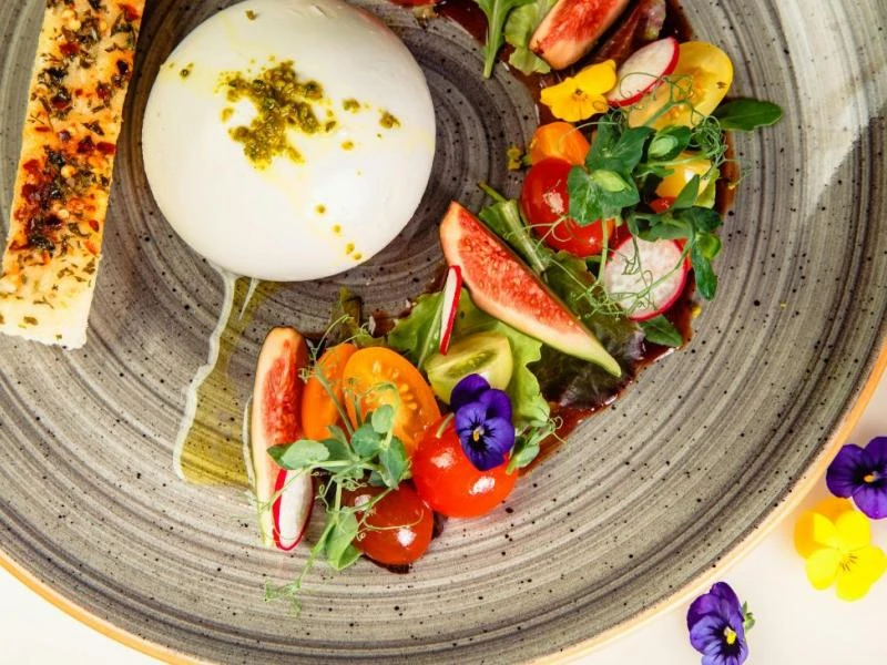 Les plantes sauvages pour élargir notre horizon culinaire