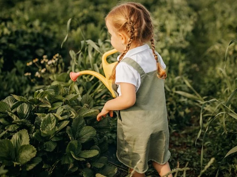 Arroser efficacement ses plantes