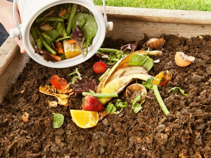 Réussir son compost en 5 étapes
