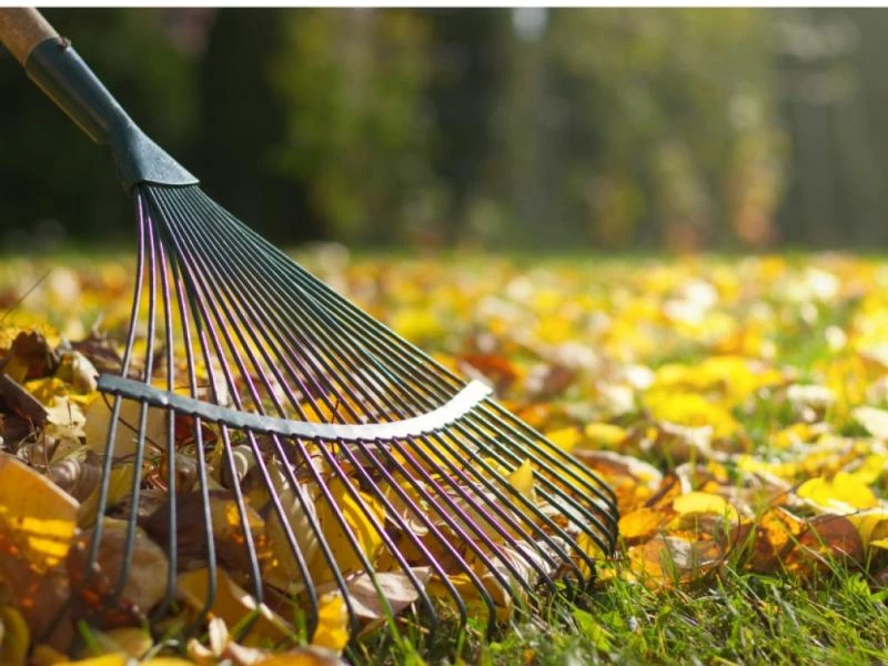 Les essentiels pour préparer votre jardin à l'Automne !