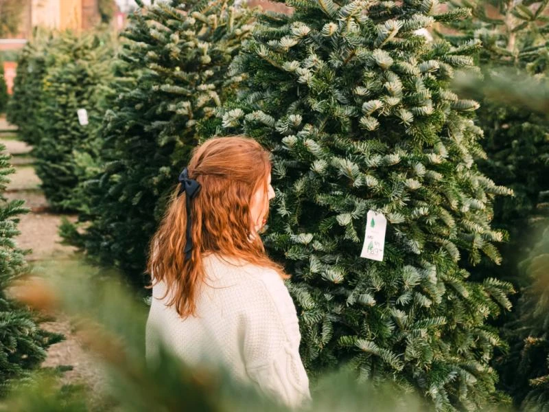 Comment noëliser vos extérieurs ?